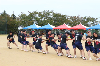 スケジュール