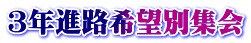 RNiH]ʏW