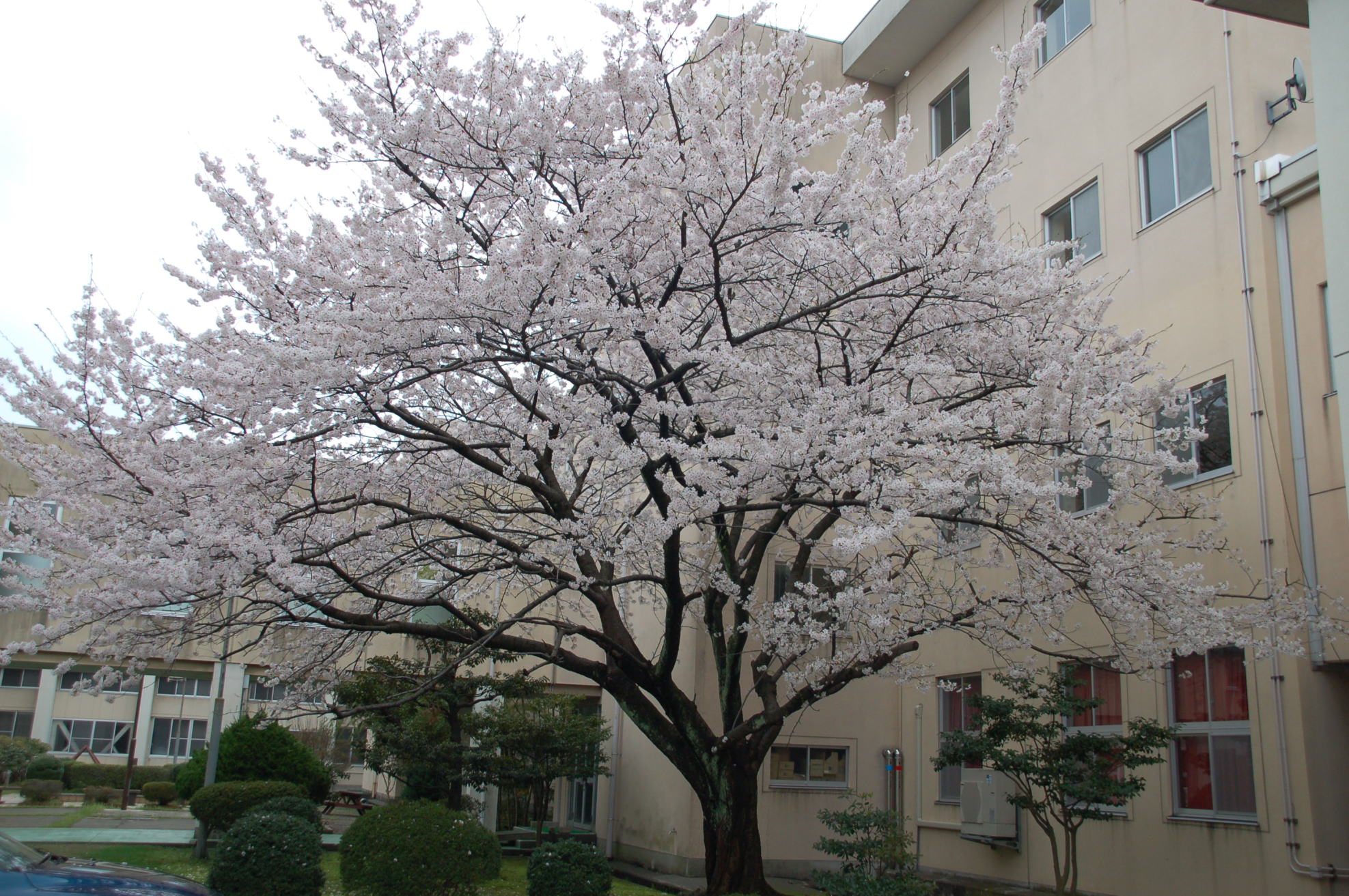 金沢中央高等学校