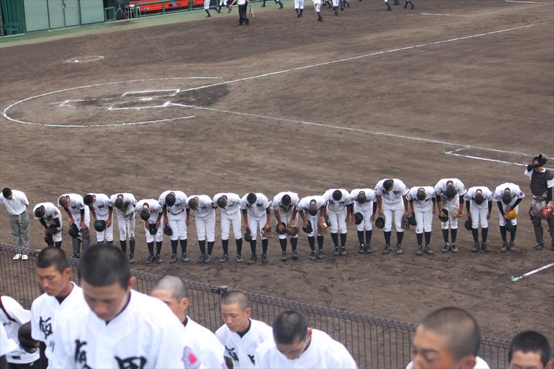 スケジュール