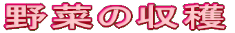 ؂̎n