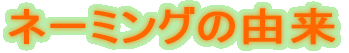 l[~O̗R 