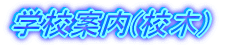 wZē(Z)